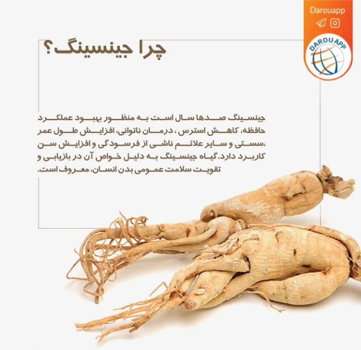 بهترین شکل جینسنگ،جینسنگ کره ای یا آسیایی می باشد. جینسنگ چیست؟